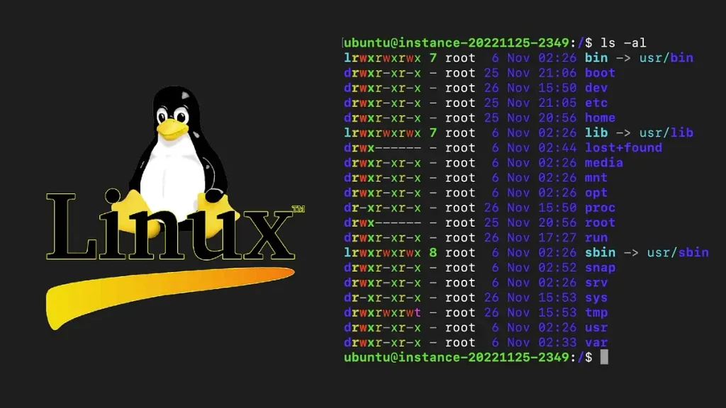 Linux File System